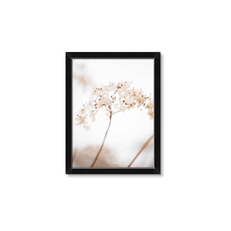 Picture of Desert Bloom Elegance _GroupedProduct_Rectangle_Portrait_Photography _GroupedProduct_Rectangle_Portrait_Framed_Matted_