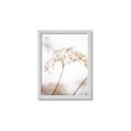 Picture of Desert Bloom Elegance _GroupedProduct_Rectangle_Portrait_Photography _GroupedProduct_Rectangle_Portrait_Framed_Matted_