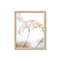 Picture of Desert Bloom Elegance _GroupedProduct_Rectangle_Portrait_Photography _GroupedProduct_Rectangle_Portrait_Framed_Matted_