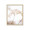 Picture of Desert Bloom Elegance _GroupedProduct_Rectangle_Portrait_Photography _GroupedProduct_Rectangle_Portrait_Framed_Matted_