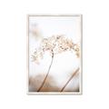 Picture of Desert Bloom Elegance _GroupedProduct_Rectangle_Portrait_Photography _GroupedProduct_Rectangle_Portrait_Framed_Matted_