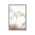 Picture of Desert Bloom Elegance _GroupedProduct_Rectangle_Portrait_Photography _GroupedProduct_Rectangle_Portrait_Framed_Matted_