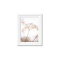 Picture of Desert Bloom Elegance _GroupedProduct_Rectangle_Portrait_Photography _GroupedProduct_Rectangle_Portrait_Framed_Matted_