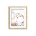 Picture of Desert Bloom Elegance _GroupedProduct_Rectangle_Portrait_Photography _GroupedProduct_Rectangle_Portrait_Framed_Matted_