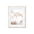 Picture of Desert Bloom Elegance _GroupedProduct_Rectangle_Portrait_Photography _GroupedProduct_Rectangle_Portrait_Framed_Matted_
