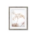 Picture of Desert Bloom Elegance _GroupedProduct_Rectangle_Portrait_Photography _GroupedProduct_Rectangle_Portrait_Framed_Matted_