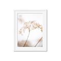 Picture of Desert Bloom Elegance _GroupedProduct_Rectangle_Portrait_Photography _GroupedProduct_Rectangle_Portrait_Framed_Matted_