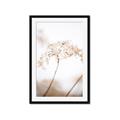 Picture of Desert Bloom Elegance _GroupedProduct_Rectangle_Portrait_Photography _GroupedProduct_Rectangle_Portrait_Framed_Matted_