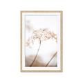 Picture of Desert Bloom Elegance _GroupedProduct_Rectangle_Portrait_Photography _GroupedProduct_Rectangle_Portrait_Framed_Matted_