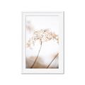 Picture of Desert Bloom Elegance _GroupedProduct_Rectangle_Portrait_Photography _GroupedProduct_Rectangle_Portrait_Framed_Matted_