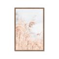 Picture of Neutral Bloom Reeds _GroupedProduct_Rectangle_Portrait_Photography _GroupedProduct_Rectangle_Portrait_Framed_Matted_