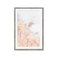 Picture of Neutral Bloom Reeds _GroupedProduct_Rectangle_Portrait_Photography _GroupedProduct_Rectangle_Portrait_Framed_Matted_