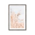 Picture of Neutral Bloom Reeds _GroupedProduct_Rectangle_Portrait_Photography _GroupedProduct_Rectangle_Portrait_Framed_Matted_