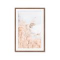 Picture of Neutral Bloom Reeds _GroupedProduct_Rectangle_Portrait_Photography _GroupedProduct_Rectangle_Portrait_Framed_Matted_