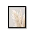 Picture of Creamy Petal Pampas I _GroupedProduct_Rectangle_Portrait_Photography _GroupedProduct_Rectangle_Portrait_Framed_Matted_