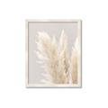 Picture of Creamy Petal Pampas I _GroupedProduct_Rectangle_Portrait_Photography _GroupedProduct_Rectangle_Portrait_Framed_Matted_