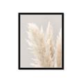 Picture of Creamy Petal Pampas I _GroupedProduct_Rectangle_Portrait_Photography _GroupedProduct_Rectangle_Portrait_Framed_Matted_