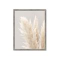 Picture of Creamy Petal Pampas I _GroupedProduct_Rectangle_Portrait_Photography _GroupedProduct_Rectangle_Portrait_Framed_Matted_