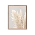 Picture of Creamy Petal Pampas I _GroupedProduct_Rectangle_Portrait_Photography _GroupedProduct_Rectangle_Portrait_Framed_Matted_
