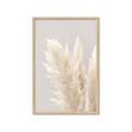 Picture of Creamy Petal Pampas I _GroupedProduct_Rectangle_Portrait_Photography _GroupedProduct_Rectangle_Portrait_Framed_Matted_