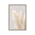 Picture of Creamy Petal Pampas I _GroupedProduct_Rectangle_Portrait_Photography _GroupedProduct_Rectangle_Portrait_Framed_Matted_