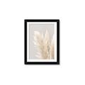 Picture of Creamy Petal Pampas I _GroupedProduct_Rectangle_Portrait_Photography _GroupedProduct_Rectangle_Portrait_Framed_Matted_