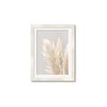 Picture of Creamy Petal Pampas I _GroupedProduct_Rectangle_Portrait_Photography _GroupedProduct_Rectangle_Portrait_Framed_Matted_