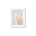 Picture of Creamy Petal Pampas I _GroupedProduct_Rectangle_Portrait_Photography _GroupedProduct_Rectangle_Portrait_Framed_Matted_