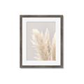 Picture of Creamy Petal Pampas I _GroupedProduct_Rectangle_Portrait_Photography _GroupedProduct_Rectangle_Portrait_Framed_Matted_