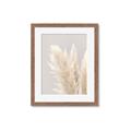 Picture of Creamy Petal Pampas I _GroupedProduct_Rectangle_Portrait_Photography _GroupedProduct_Rectangle_Portrait_Framed_Matted_
