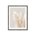 Picture of Creamy Petal Pampas I _GroupedProduct_Rectangle_Portrait_Photography _GroupedProduct_Rectangle_Portrait_Framed_Matted_
