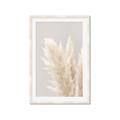 Picture of Creamy Petal Pampas I _GroupedProduct_Rectangle_Portrait_Photography _GroupedProduct_Rectangle_Portrait_Framed_Matted_