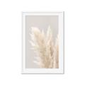 Picture of Creamy Petal Pampas I _GroupedProduct_Rectangle_Portrait_Photography _GroupedProduct_Rectangle_Portrait_Framed_Matted_