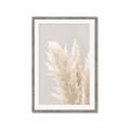 Picture of Creamy Petal Pampas I _GroupedProduct_Rectangle_Portrait_Photography _GroupedProduct_Rectangle_Portrait_Framed_Matted_