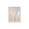 Picture of Creamy Petal Pampas II _GroupedProduct_Rectangle_Portrait_Photography _GroupedProduct_Rectangle_Portrait_Framed_Matted_