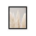 Picture of Creamy Petal Pampas II _GroupedProduct_Rectangle_Portrait_Photography _GroupedProduct_Rectangle_Portrait_Framed_Matted_