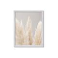 Picture of Creamy Petal Pampas II _GroupedProduct_Rectangle_Portrait_Photography _GroupedProduct_Rectangle_Portrait_Framed_Matted_