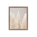 Picture of Creamy Petal Pampas II _GroupedProduct_Rectangle_Portrait_Photography _GroupedProduct_Rectangle_Portrait_Framed_Matted_