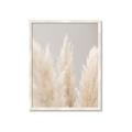 Picture of Creamy Petal Pampas II _GroupedProduct_Rectangle_Portrait_Photography _GroupedProduct_Rectangle_Portrait_Framed_Matted_