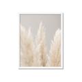 Picture of Creamy Petal Pampas II _GroupedProduct_Rectangle_Portrait_Photography _GroupedProduct_Rectangle_Portrait_Framed_Matted_