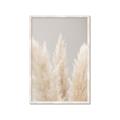 Picture of Creamy Petal Pampas II _GroupedProduct_Rectangle_Portrait_Photography _GroupedProduct_Rectangle_Portrait_Framed_Matted_