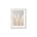 Picture of Creamy Petal Pampas II _GroupedProduct_Rectangle_Portrait_Photography _GroupedProduct_Rectangle_Portrait_Framed_Matted_