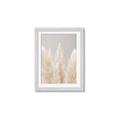 Picture of Creamy Petal Pampas II _GroupedProduct_Rectangle_Portrait_Photography _GroupedProduct_Rectangle_Portrait_Framed_Matted_