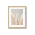 Picture of Creamy Petal Pampas II _GroupedProduct_Rectangle_Portrait_Photography _GroupedProduct_Rectangle_Portrait_Framed_Matted_