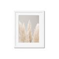 Picture of Creamy Petal Pampas II _GroupedProduct_Rectangle_Portrait_Photography _GroupedProduct_Rectangle_Portrait_Framed_Matted_