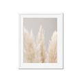 Picture of Creamy Petal Pampas II _GroupedProduct_Rectangle_Portrait_Photography _GroupedProduct_Rectangle_Portrait_Framed_Matted_