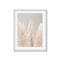 Picture of Creamy Petal Pampas II _GroupedProduct_Rectangle_Portrait_Photography _GroupedProduct_Rectangle_Portrait_Framed_Matted_