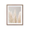 Picture of Creamy Petal Pampas II _GroupedProduct_Rectangle_Portrait_Photography _GroupedProduct_Rectangle_Portrait_Framed_Matted_