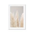 Picture of Creamy Petal Pampas II _GroupedProduct_Rectangle_Portrait_Photography _GroupedProduct_Rectangle_Portrait_Framed_Matted_