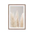 Picture of Creamy Petal Pampas II _GroupedProduct_Rectangle_Portrait_Photography _GroupedProduct_Rectangle_Portrait_Framed_Matted_